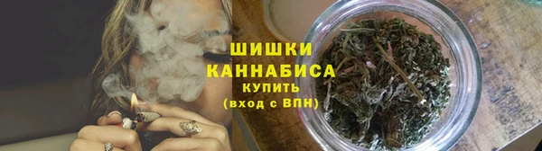 шишки Абинск