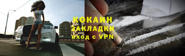 шишки Абинск