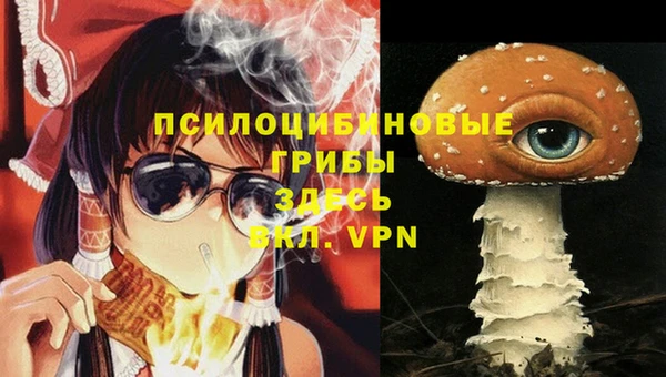 шишки Абинск
