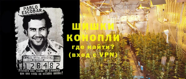 шишки Абинск