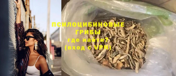 шишки Абинск